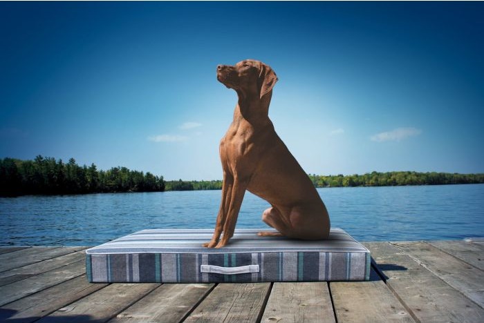 A brown dog sitting on a striped Bowsers patio cushion on a dock beside a lake.