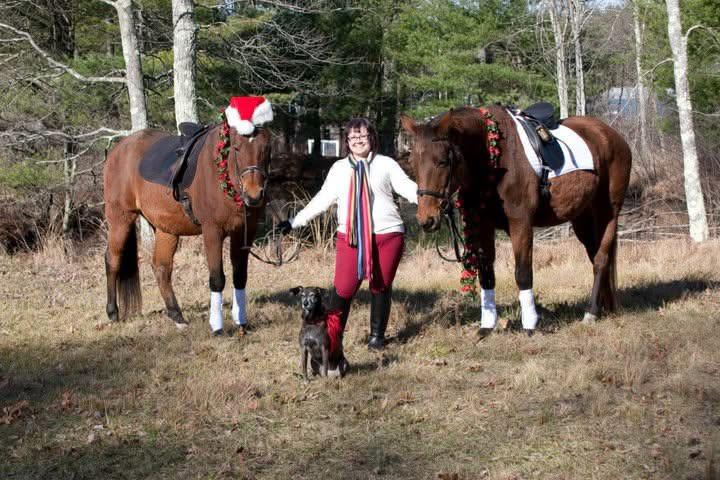 Milo the horse on the left, Lola the dog in the middle, and Galli the horse on the right, posing outdoors with a person.